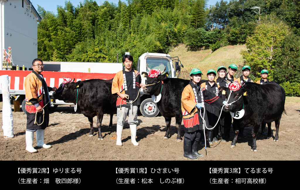 多気町肉牛共進会の特産松阪牛