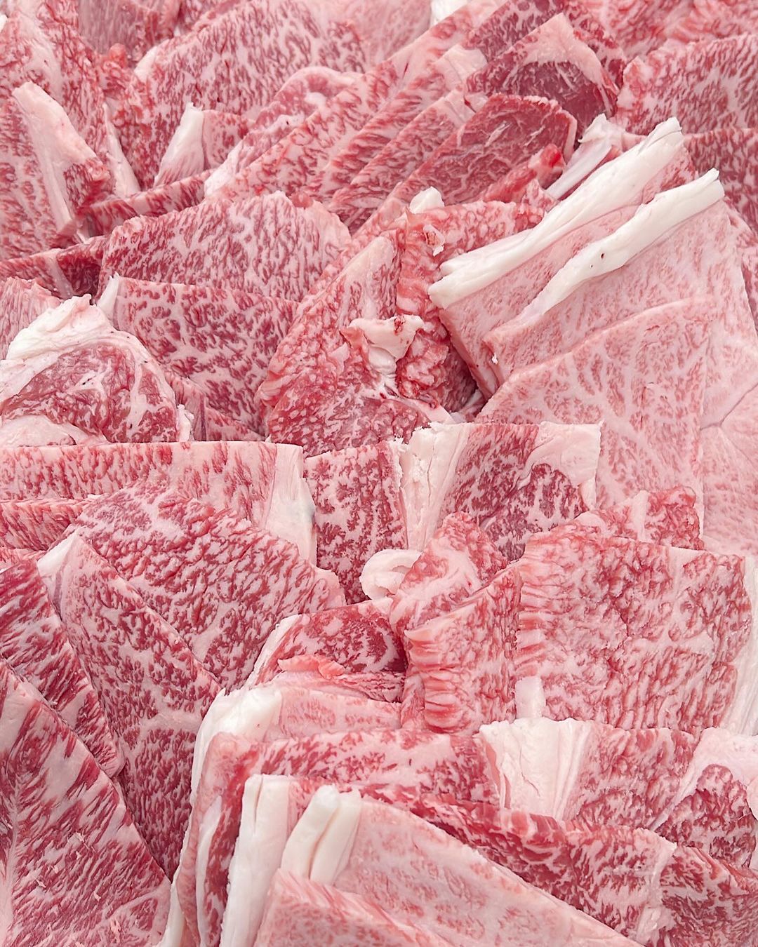 カルビとタン、ホルモン、鶏肉、豚肉